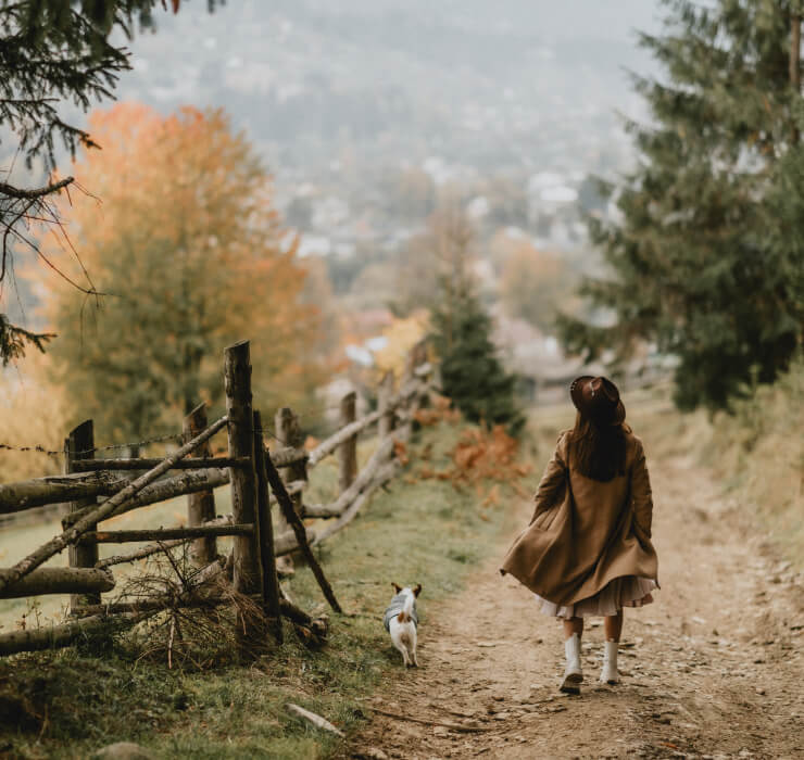 blog-justify-6-740x700